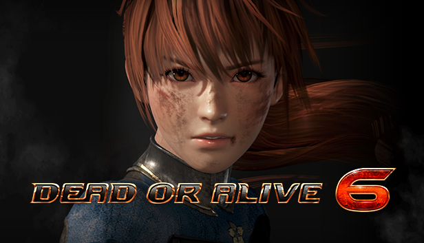 死或生6|豪华中文|Build.5161996+预购特典+季票-摇摇乐+全DLC-支持手柄